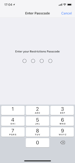 Turn off screen time passcode with passfab iphone backup unlocker. Pinfinder Free Utility To Recover Forgotten Screen Time Or Restrictions Passcode For Iphone Ipad Or Ipod