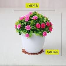 We did not find results for: Lds Pot6 Tanaman Bunga Hias Bunga Dekorasi Ruangan Bunga Plastik Hias Shopee Indonesia