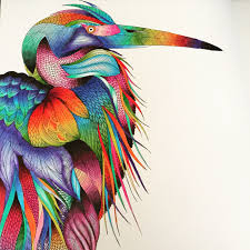 Completed From The Millie Marotta Animal Kingdom Colouring Book By Ins Animal Kingdom Colouring Book Millie Marotta Coloring Book Millie Marotta Animal Kingdom It's sooooo fun & really does relax me or take my mind of things for some time. animal kingdom colouring book millie
