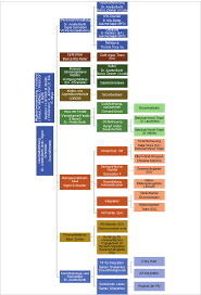 GESCHÄFTSBERICHT 2018