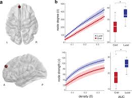 Consciousness books lucid dreaming books. Frequent Lucid Dreaming Associated With Increased Functional Connectivity Between Frontopolar Cortex And Temporoparietal Association Areas Scientific Reports
