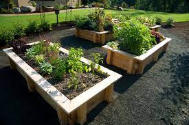 Try to invest in the basics like gloves, pruners, garden hoe and a trowel, and as you go along. Kids Gardening Tips Ideas Projects At Home