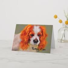 King Charles Cavalier Spaniel Thinking Of You Card Zazzle Com Cavalier King Charles Spaniel Cavalier King Charles King Charles