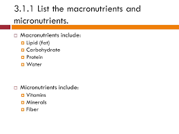 The term macro is somewhat less common, but indicates objects of a somewhat large size. Topic 3 Energy Systems List The Macronutrients And Micronutrients Macronutrients Include Lipid Fat Carbohydrate Protein Water Micronutrients Ppt Download