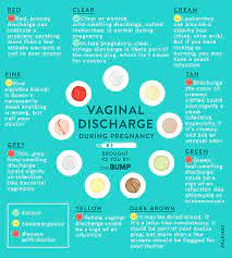 Pregnancy Discharge What S Normal And What S Not