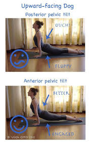 Great Tips On Proper Transitioning To Upward Facing Dog Yoga Tips Yoga Anatomy Yoga Benefits