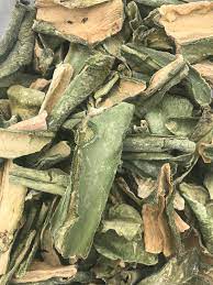 Under ideal conditions, san pedr cactus can grow up to 18 inches per year and will readily shoot off new pups (branches). Peruvian Torch Cactus Chips 10 G Kambo Canada