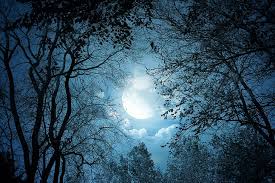Moon wallpaper hd for desktop, mobile, iphone and tablets. Hd Wallpaper Fantasy Art Trees Forest Moon Night Clouds Dark Moonlight Wallpaper Flare