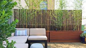 Online, article, story, explanation, suggestion, youtube. Permanent Pergola How To Create Shade And Comfort In Your Garden Beautyharmonylife