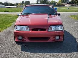 Image result for Wild Strawberry 1992 Tempo