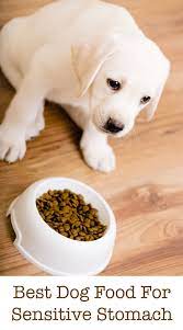 Best Dog Food For Sensitive Stomach Issues Tips And Reviews Dog Food Recipes Best Dog Food Wet Dog Food