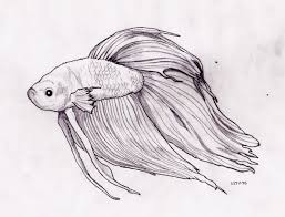 Supercoloring.com is a super fun for all ages: Pencil Drawings Of Betta Fish Novocom Top