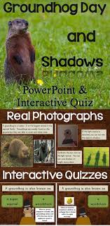 Test your knowledge with 10 fill in the blank, 10 multiple choice, and 10 true or false questions related to groundhog day. This Powerpoint Presentation Includes Information On Groundhogs Groundhog Day And Shadows It Uses Simple Terms And Rea Groundhog Day Interactive Fun Lessons