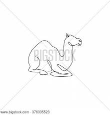 Start your camel drawing by picking an oval shape in the middle of the paper. Single Continuous Vector Photo Free Trial Bigstock