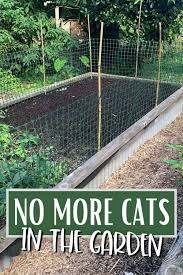 We did not find results for: Keeping Cats Out Of The Garden Attainable Sustainable