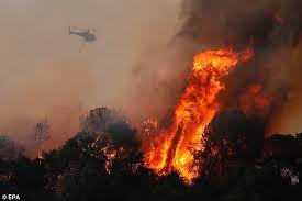 Wel is de wind iets gaan liggen, waardoor verwacht wordt dat de brandweer het vuur meer onder. Vrgobw6e Fogqm
