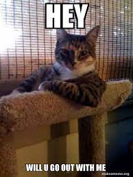 Hey Will U Go Out With Me The Most Interesting Cat In The World Make A Meme