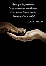 Pin De Gabriela Souto En Perrinos Mascotas Frases Perros Frases Perros