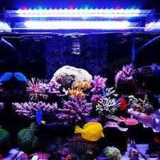 Full spectrum led grow lights aquarium. Full Spectrum Led Grow Light Bar 60w Led Aquarium Light