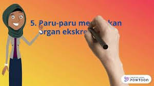 Tulislah nama lengkap, kelas, dan nomor absen pada kotak your name, contoh: Sistem Ekskresi Manusia Apk Download 2021 Free 9apps