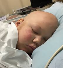 Annual Impact Report