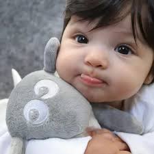 kori deer 可莉鹿動物嬰兒毯安撫毯豪華禮盒- 灰色大象- FindPrice 價格網2025年9月精選購物推薦