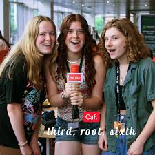 Image result for Berkheya spekeana