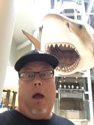 Why does no one talk about the lad that is the basking shark?