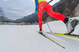 The 25 Best Cross Country Skis Of 2020 Adventure Digest