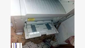 پرینتر من hp laser jet p1102. ØªÙØ§ØµÙŠÙ„ Ø´ÙƒÙˆÙ‰ Ù†ÙŠØ²Ùƒ ØªØ¹Ø±ÙŠÙ Ø·Ø§Ø¨Ø¹Ø© Hp 2200 Letim Biz