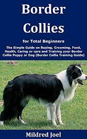 Typically extremely energetic, acrobatic, and. Border Collies For Total Beginners The Simple Guide On Buying Grooming Food Health Caring Or Care And Training Your Border Collie Puppy Or Dog Border Collie Training Guide English Edition Ebook Joel