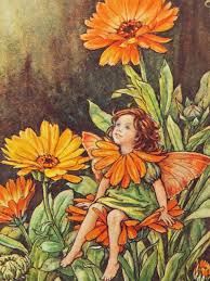 The Marigold Fairy From Flower Fairies Of The Garden By Cicely Mary Baker Fairy Art Flower Fairies Vintage Fairies
