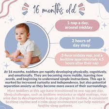 At 16 months, your toddler is growing in leaps and bounds—physically,  cognitively, and emotionally! 🌱 As they become more mobile and curious,  many have transitioned to just one nap a day around