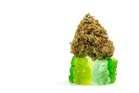 cbd hemp bombs gummies 25 count