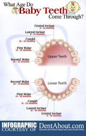Pin By Melanie Mcdonald On Nursing Pinterest Dentistry Pediatric Vital Signs Dental
