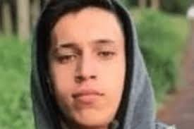 Fernando Zayas archivos