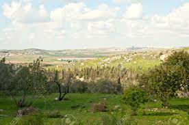 The driver lost control and. Rural Israel Landschaft Am Fruhlingstag Jerusalem Hugel Israel Lizenzfreie Fotos Bilder Und Stock Fotografie Image 19154660