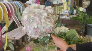 Tulips are the first flower to bloom on our farm and always fill me with such enthusiasm and hope for it's now easier than ever to find ascfg members and their florals and services using the map tool at localflowers.org. Flowers For Mom Buy Local Wgrz Com