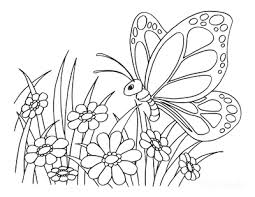 This easy butterfly coloring page is perfect for younger kids as it has a nice cartoon like friendly face and not many details to color in. 112 Best Butterfly Coloring Pages Free Printables For Kids Adults
