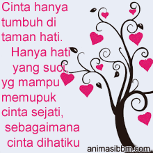 Dalam contoh cv bahasa inggris ini, kamu juga diperkenankan untuk mencantumkan personality atau karakter pribadi kamu. 17 Contoh Surat Cinta Bahasa Inggris Dan Artinya