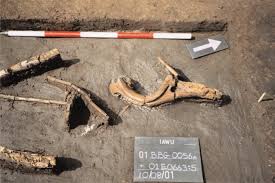 However, it's of the most importance that you have your liver evaluated. Exquisite Things And Everyday Treasures In Bog Bodies