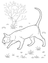 The original illustration of the realistic cat coloring pages will appear thanks to your imagination. Cat Coloring Pages Print 100 Pictures For Free