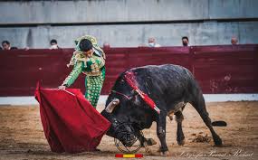 We did not find results for: Miguel Tendero Corta Una Oreja En Almoguera Guadalajara