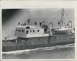 Image result for Gray 1964 Fleet