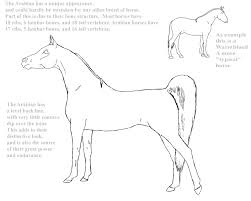 Learn the process of coloring while listening to great music! Adult Coloring Books By Foovay New Sample Adult Coloring Page Arabian Horse