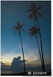 After booking, all of the property's details, including telephone and address, are provided in your booking confirmation and. Sunrise At Kuantan Pahang Malaysia Poster Pixers We Live To Change