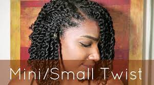 Natural Hair Mini Small Twist Tutorial Natural Hair Twists Natural Hair Styles Mini Twists Natural Hair