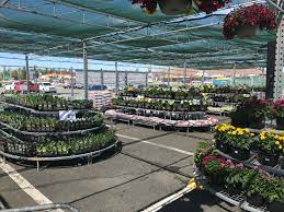 5031 44 st #4, lloydminster, ab t9v 0a6, canada. Atlantic Superstore Garden Center