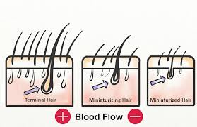 Hair growth is the biggest benefit associated with scalp massage—but when you tell nonbelievers, this may solicit a raised brow or eye roll. Scalp Massage For Hair Growth 2021 Guide Hairguard