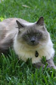 Whitney. August 2007